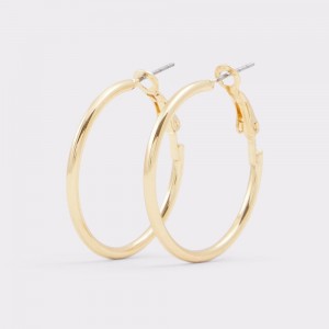 Aldo Aceassa Hoop earrings Küpe Kadın Altın | HFWY08437