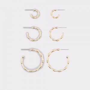 Aldo Brire Hoop earrings Küpe Kadın Altın | WFSN68529