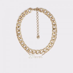 Aldo Drycia Necklace Kolye Kadın Altın | TCRN87219