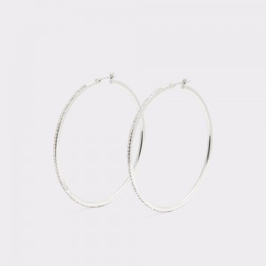 Aldo Eryri Hoop earrings Küpe Kadın Gümüş | SXNI64289