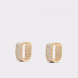 Aldo Etik Earrings Takı Erkek Altın | GNSC52347