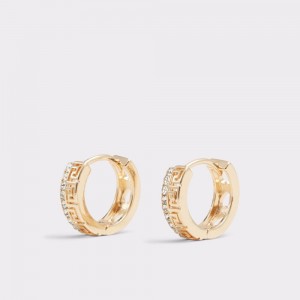 Aldo Fyg Earrings Takı Erkek Altın | HSOX42185