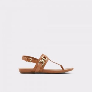 Aldo Gannamaryn T-strap sandal Sandalet Kadın Kahverengi | UIJD59721