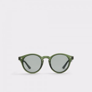 Aldo Graewien Round sunglasses Güneş Gözlüğü Erkek Haki | YXCQ21798