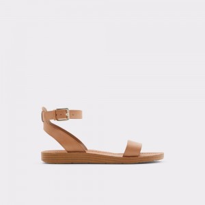 Aldo Kedaredia Flat sandal Sandalet Kadın Kahverengi | CDNH20397