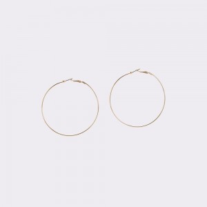 Aldo Leota Hoop earrings Küpe Kadın Altın | WRDM90682