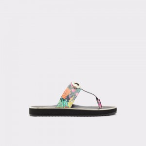 Aldo Searene Flip flop - Wedge heel Sandalet Kadın Renkli | OTRQ26419