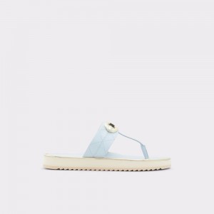 Aldo Searene Thong sandal Sandalet Kadın Mavi | AJYX30457