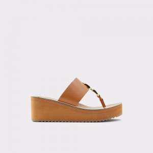 Aldo Toea Thong sandal - Wedge heel Sandalet Kadın Kahverengi | FQSI30524