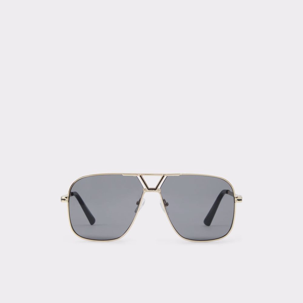 Aldo Adrerarid Aviator sunglasses Güneş Gözlüğü Erkek Siyah Altın | KWBQ12638