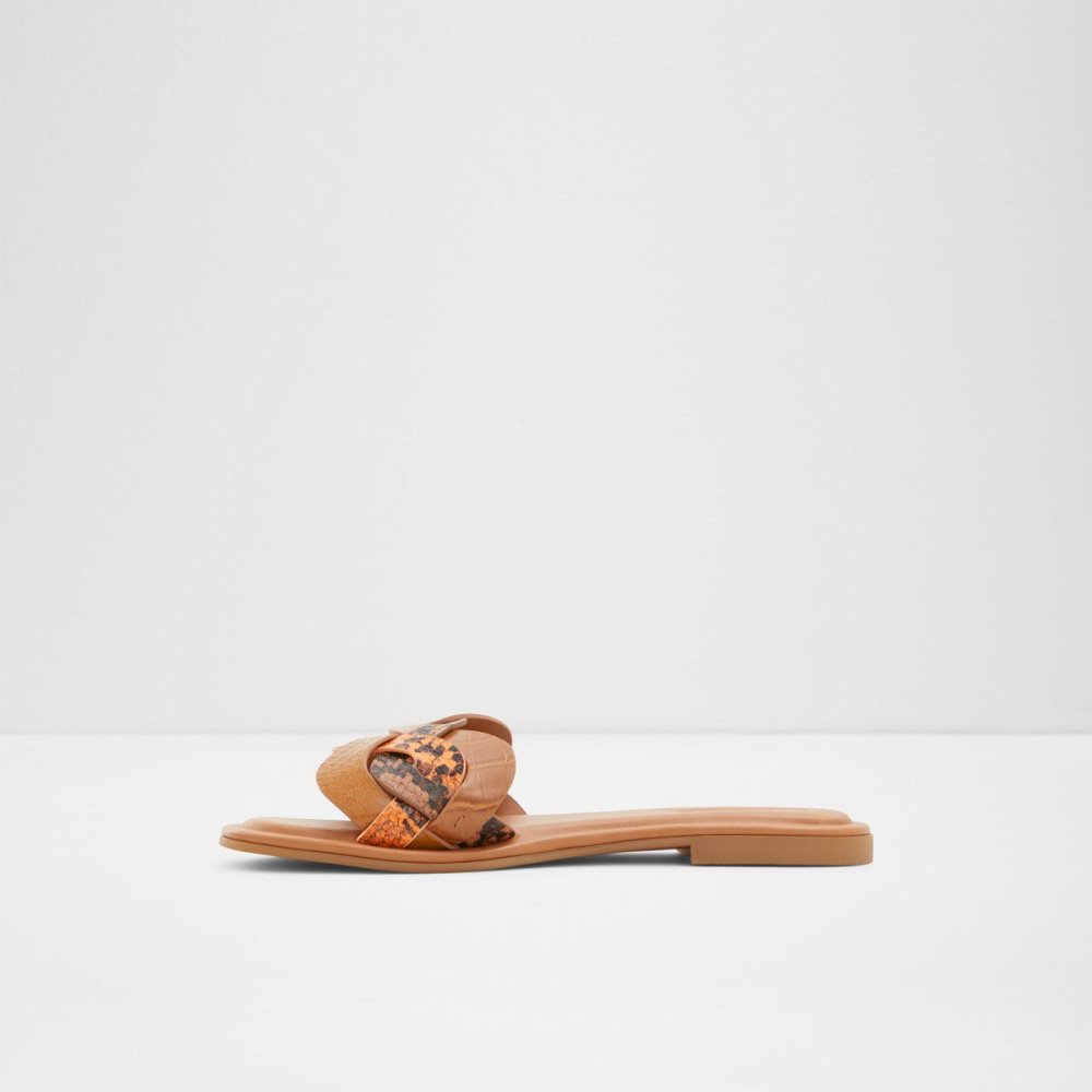 Aldo Adwilaviel Slide sandal Sandalet Kadın Kahverengi | GKQM83064