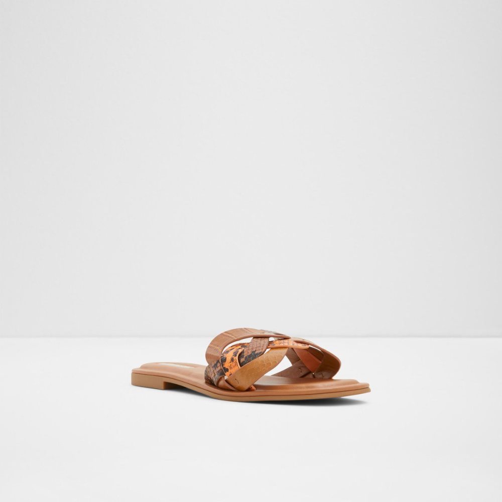 Aldo Adwilaviel Slide sandal Sandalet Kadın Kahverengi | GKQM83064