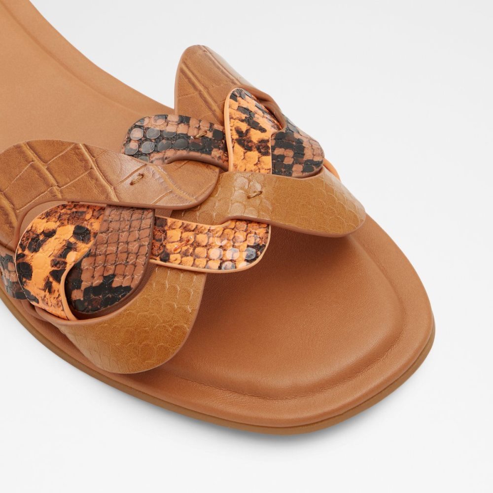 Aldo Adwilaviel Slide sandal Sandalet Kadın Kahverengi | GKQM83064