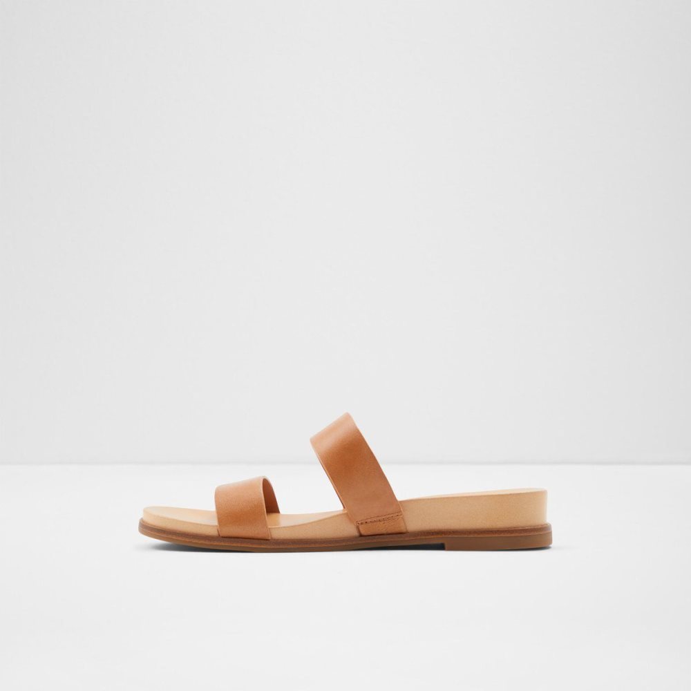 Aldo Aliawen Slide sandal Sandalet Kadın Kahverengi | UVGR82140