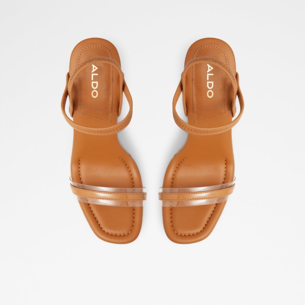 Aldo Bodish Wedge sandal - Wedge heel Sandalet Kadın Koyu Bej Rengi | OMNU76302