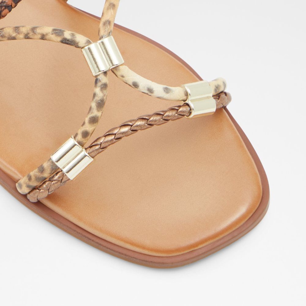 Aldo Oceriwenflex Strappy flat sandal Sandalet Kadın Kahverengi | XLYQ90513