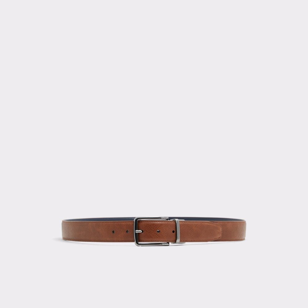 Aldo Pilosellus Belt Kemer Erkek Kahverengi | NIXK58302