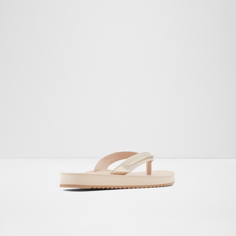 Aldo Polo Flip flops Sandalet Kadın Champagne | PRCG59168