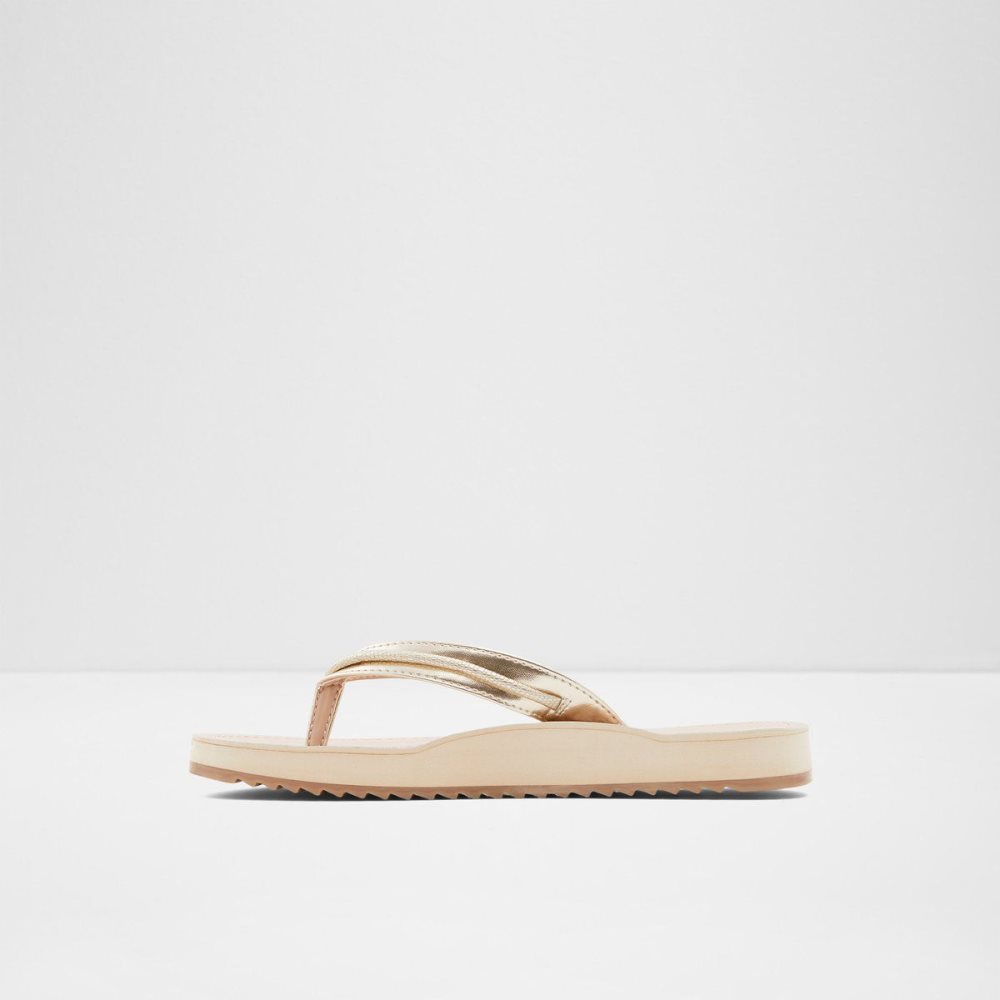 Aldo Polo Flip flops Sandalet Kadın Champagne | PRCG59168