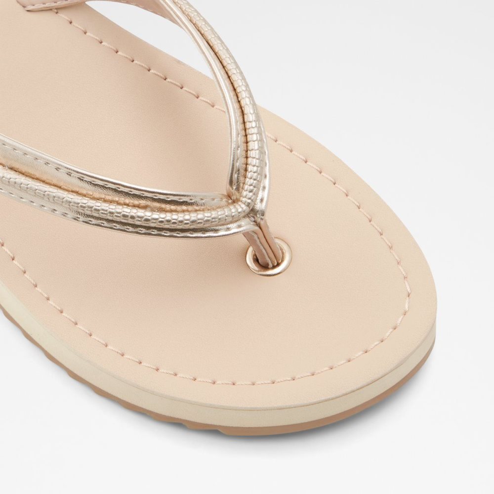 Aldo Polo Flip flops Sandalet Kadın Champagne | PRCG59168