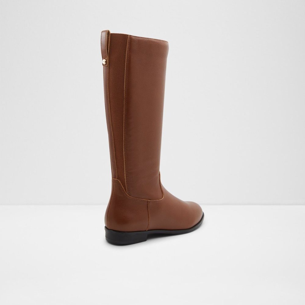 Aldo Riraven Riding boot - Block heel Bot Kadın Kahverengi | VWEU07689