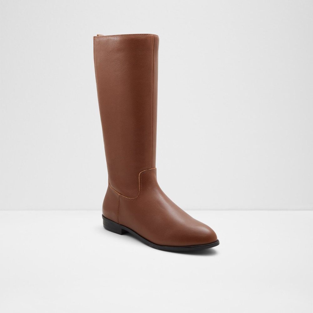 Aldo Riraven Riding boot - Block heel Bot Kadın Kahverengi | VWEU07689