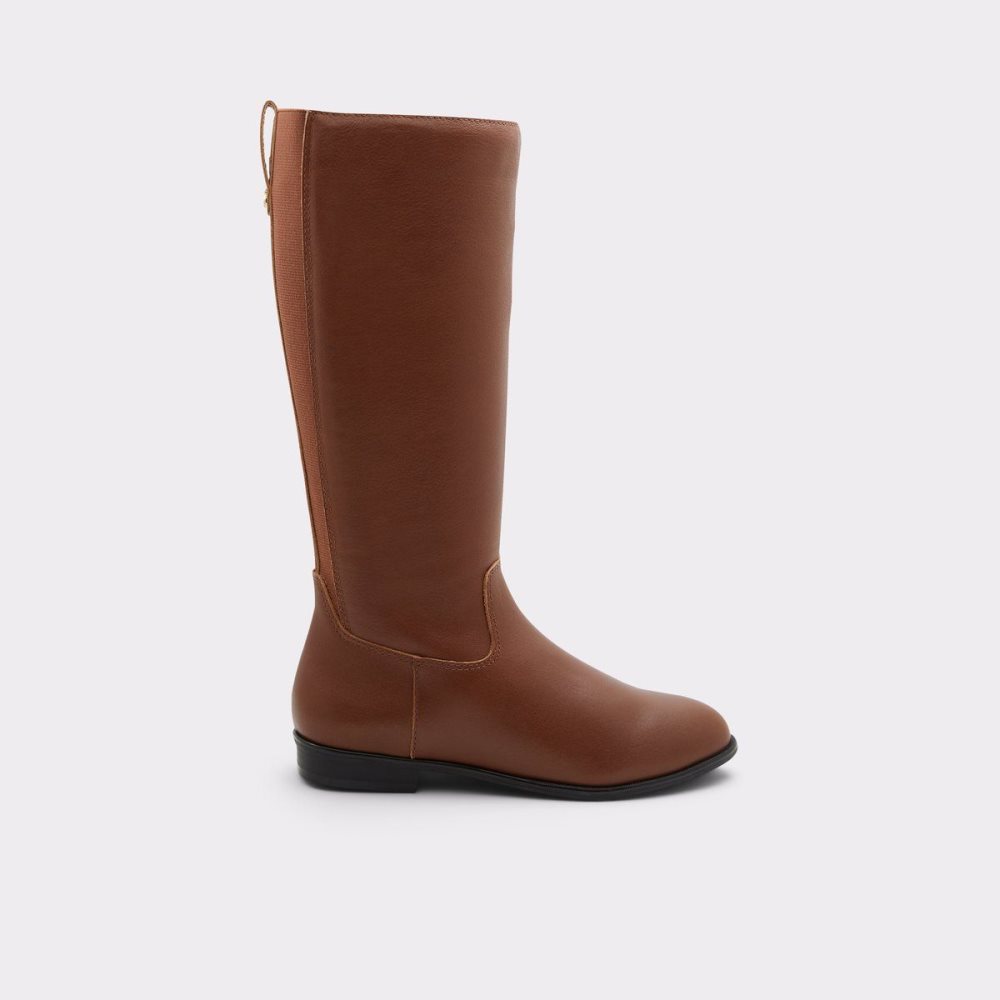 Aldo Riraven Riding boot - Block heel Bot Kadın Kahverengi | VWEU07689