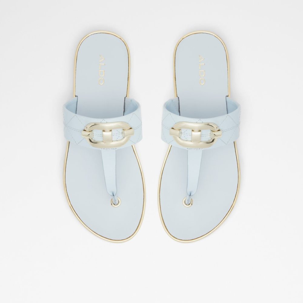 Aldo Searene Thong sandal Sandalet Kadın Mavi | AJYX30457