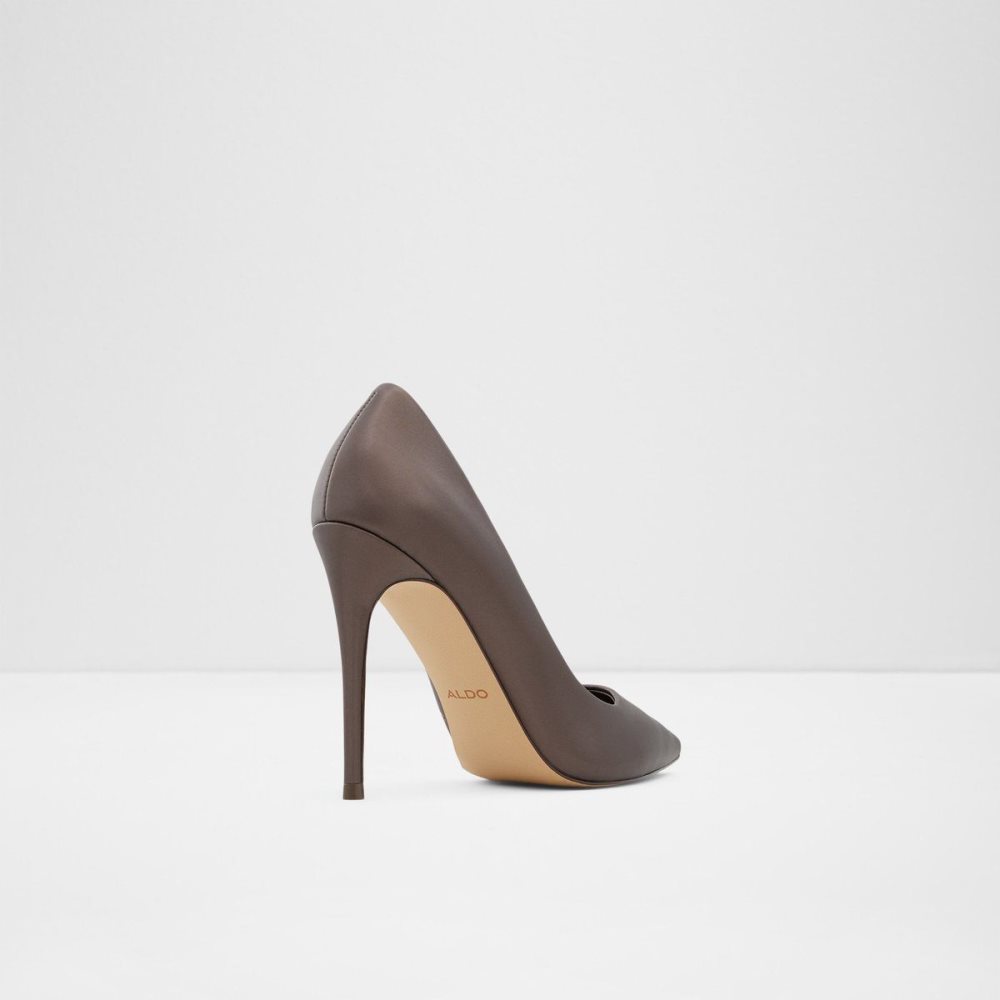 Aldo Stessy_ High heel shoe - Stiletto heel Topuklu Ayakkabılar Kadın Koyu Kahverengi | FVQN89276