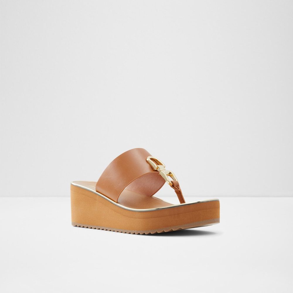 Aldo Toea Thong sandal - Wedge heel Sandalet Kadın Kahverengi | FQSI30524