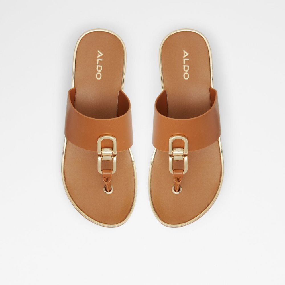 Aldo Toea Thong sandal - Wedge heel Sandalet Kadın Kahverengi | FQSI30524