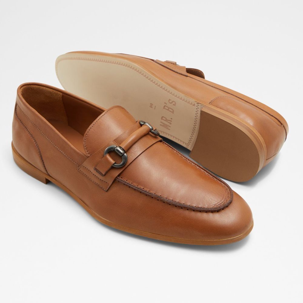 Aldo Violettes Loafer Makosen Ayakkabı Erkek Kahverengi | MPHN35741